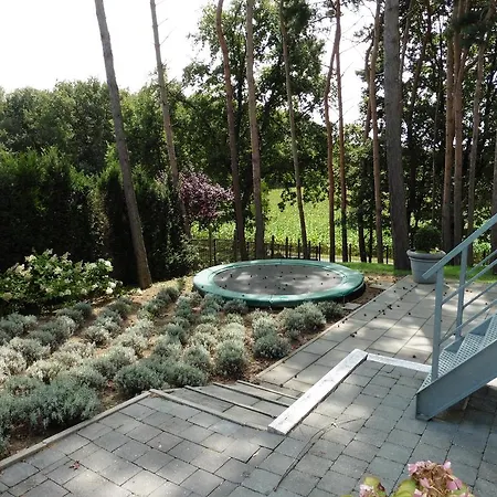 Arendvlucht Montfort Bed & Breakfast 2*