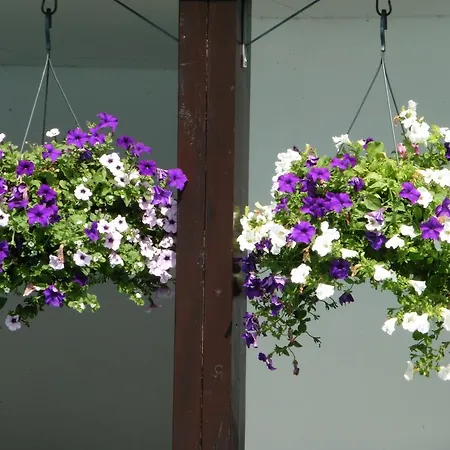 Bed & Breakfast Arendvlucht Montfort