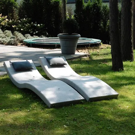 Arendvlucht Montfort Bed & Breakfast Montfort