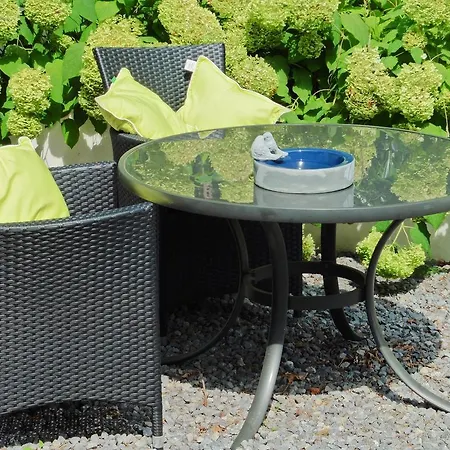 Bed & Breakfast Arendvlucht Montfort Montfort
